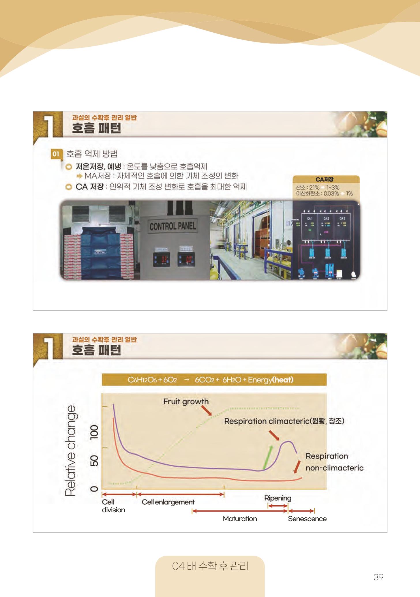 고품질 배 생산 및 수출 교육[2022] 39페이지