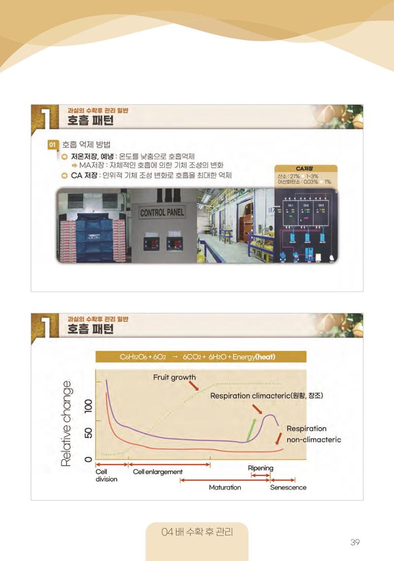 고품질 배 생산 및 수출 교육[2022] 39페이지