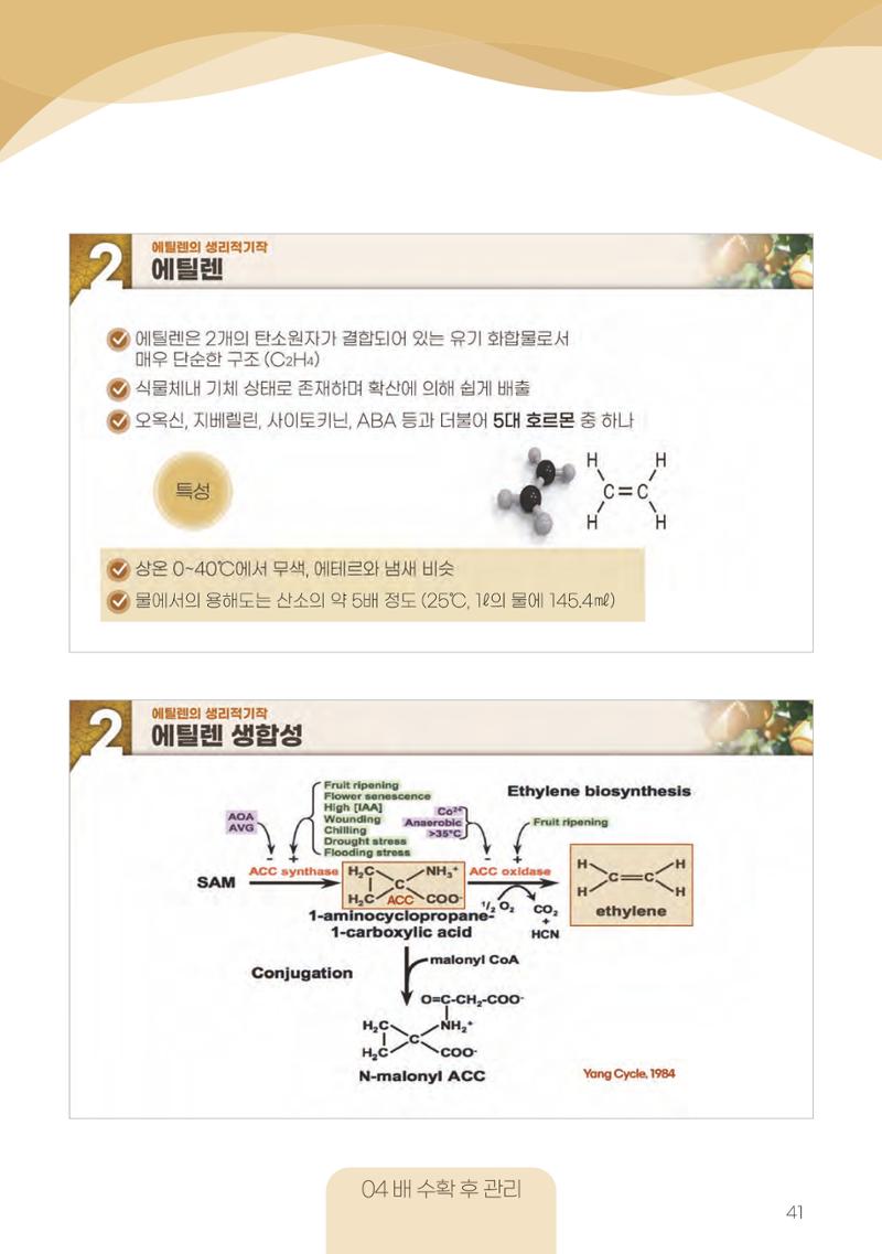 고품질 배 생산 및 수출 교육[2022] 41페이지