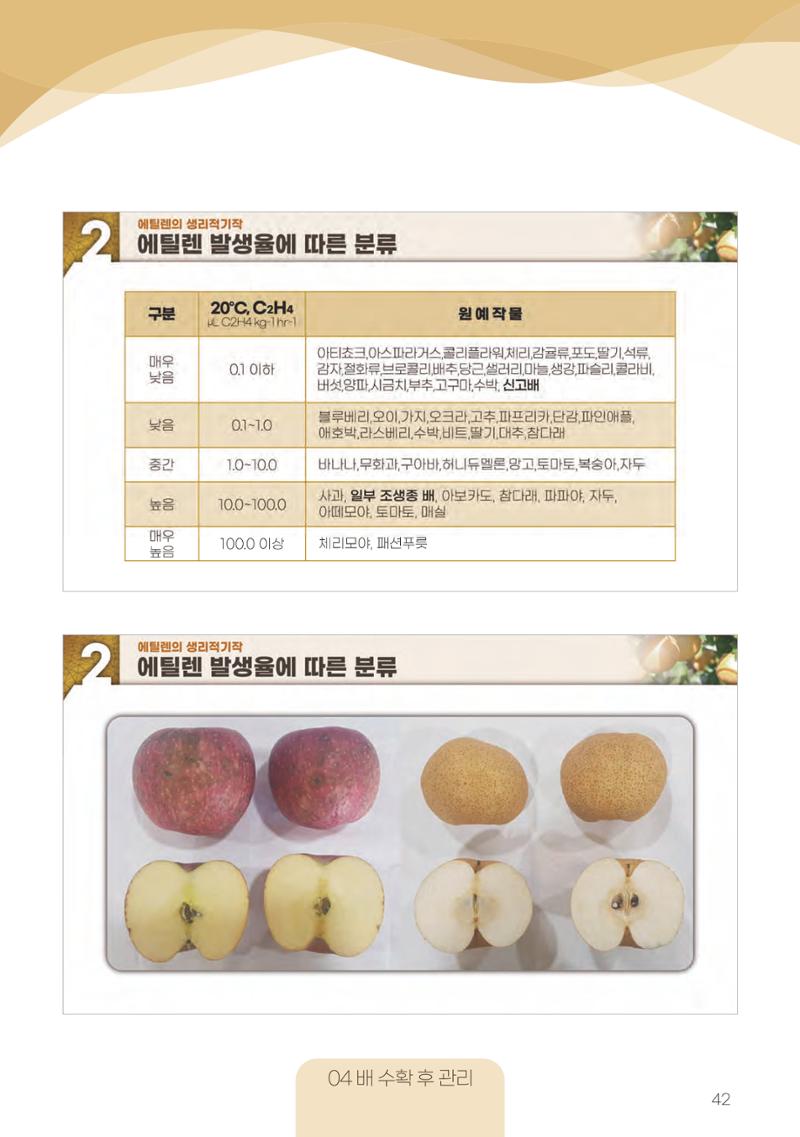고품질 배 생산 및 수출 교육[2022] 42페이지