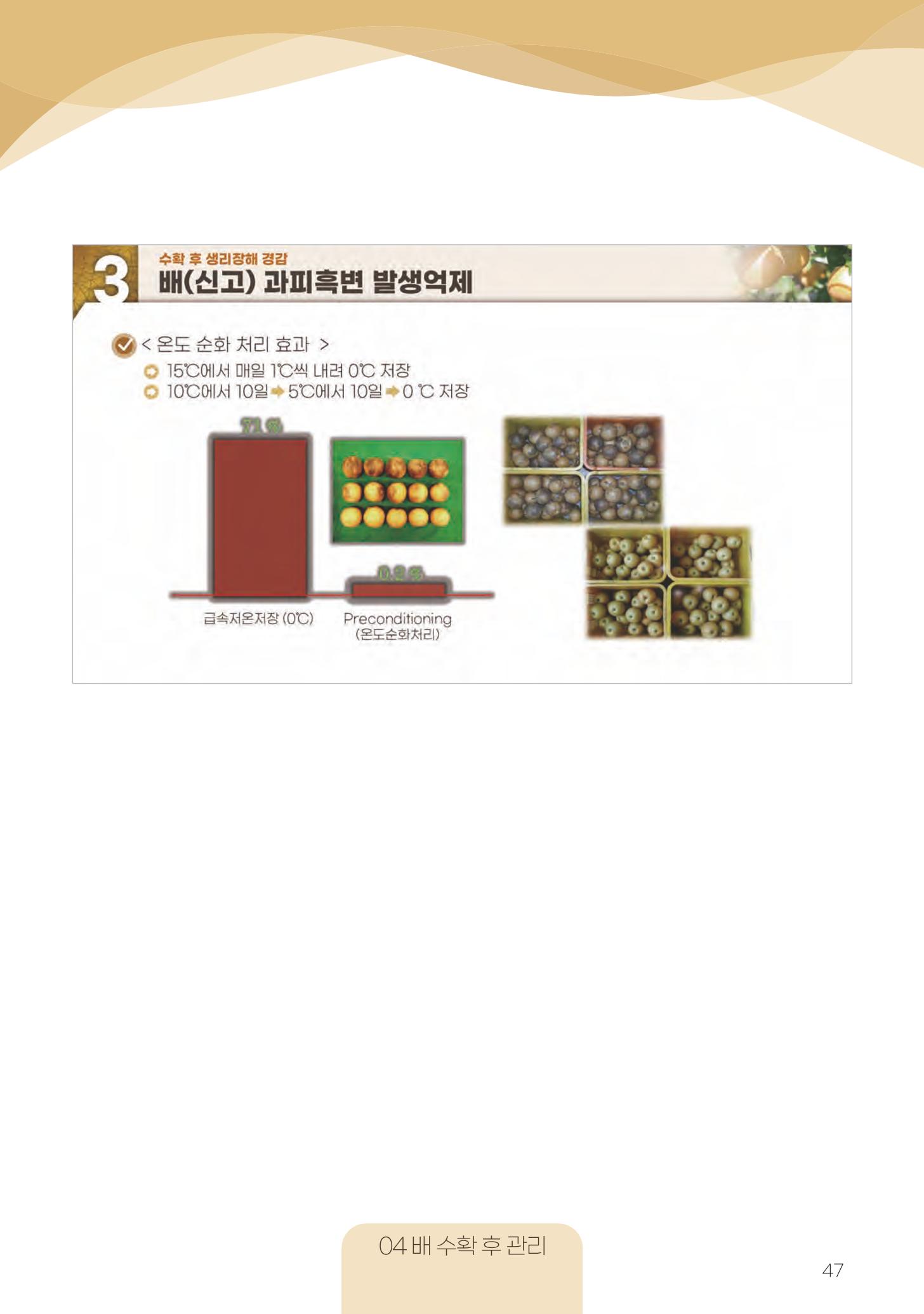 고품질 배 생산 및 수출 교육[2022] 47페이지