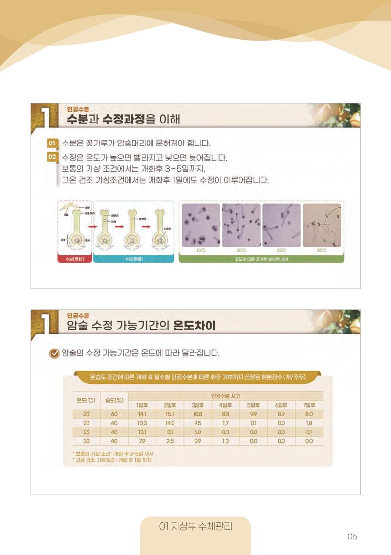고품질 배 생산 및 수출 교육[2022] 5페이지