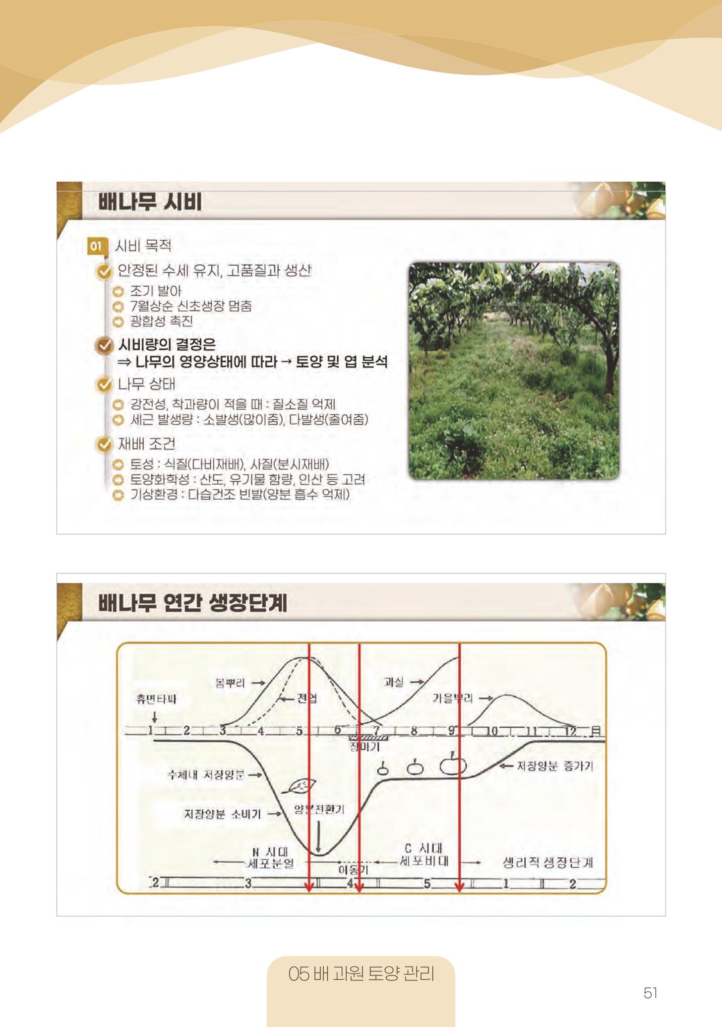 고품질 배 생산 및 수출 교육[2022] 51페이지