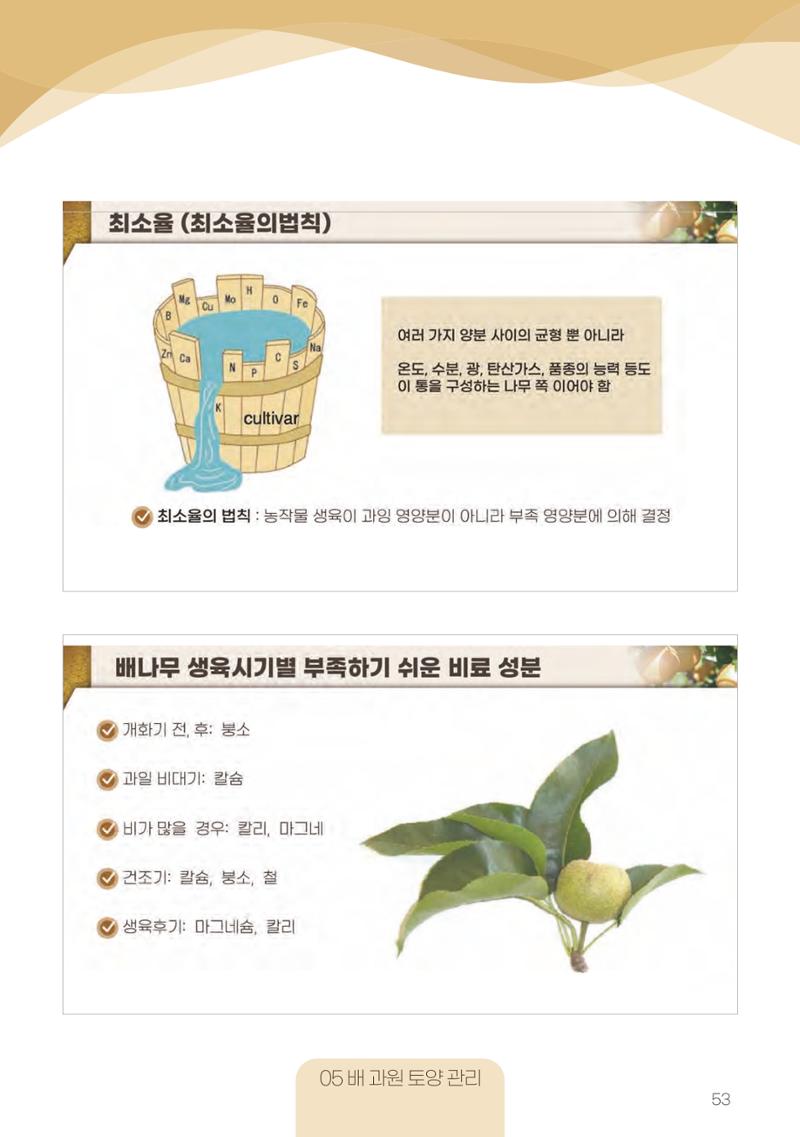 고품질 배 생산 및 수출 교육[2022] 53페이지