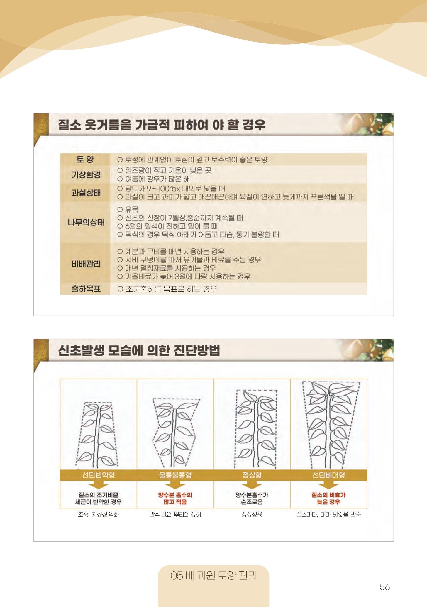고품질 배 생산 및 수출 교육[2022] 56페이지