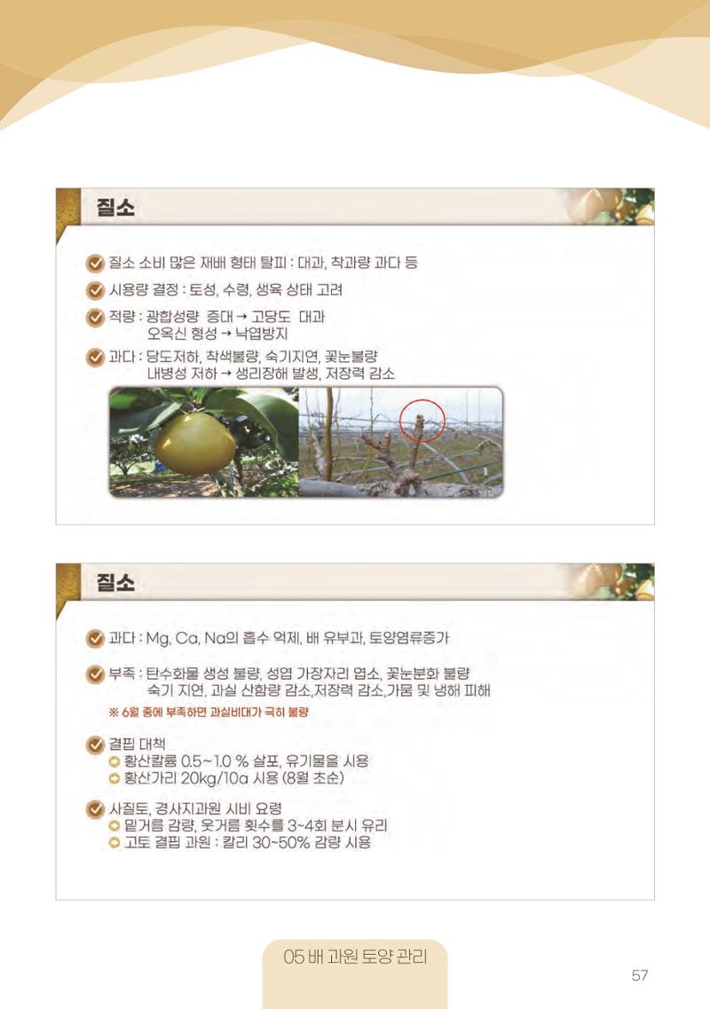고품질 배 생산 및 수출 교육[2022] 57페이지