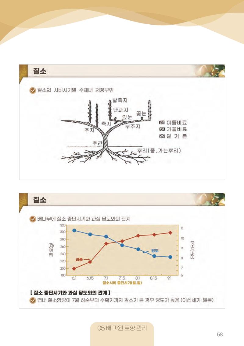 고품질 배 생산 및 수출 교육[2022] 58페이지