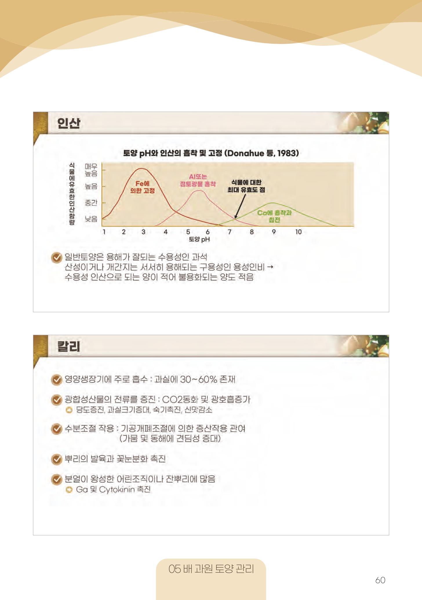 고품질 배 생산 및 수출 교육[2022] 60페이지