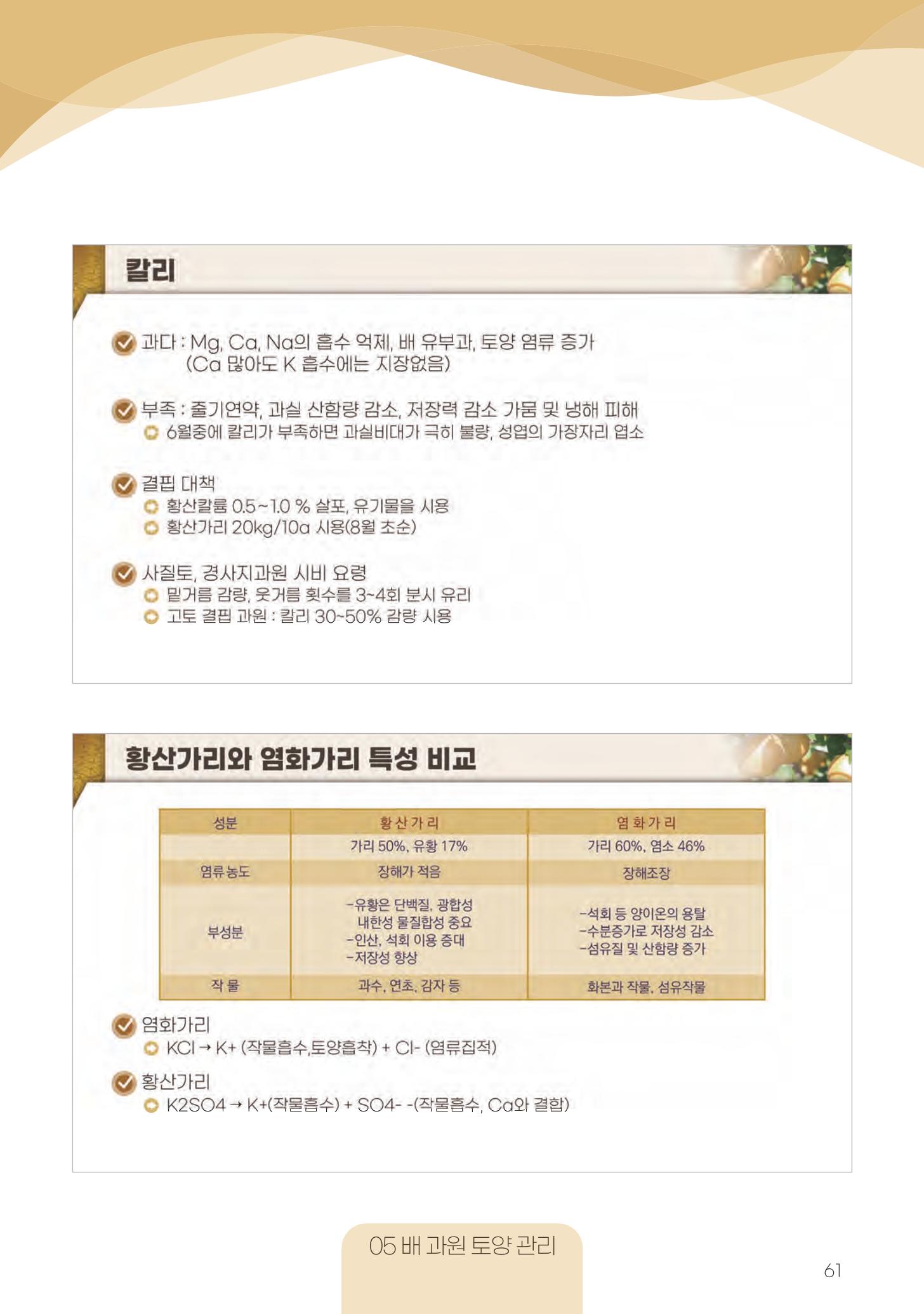 고품질 배 생산 및 수출 교육[2022] 61페이지