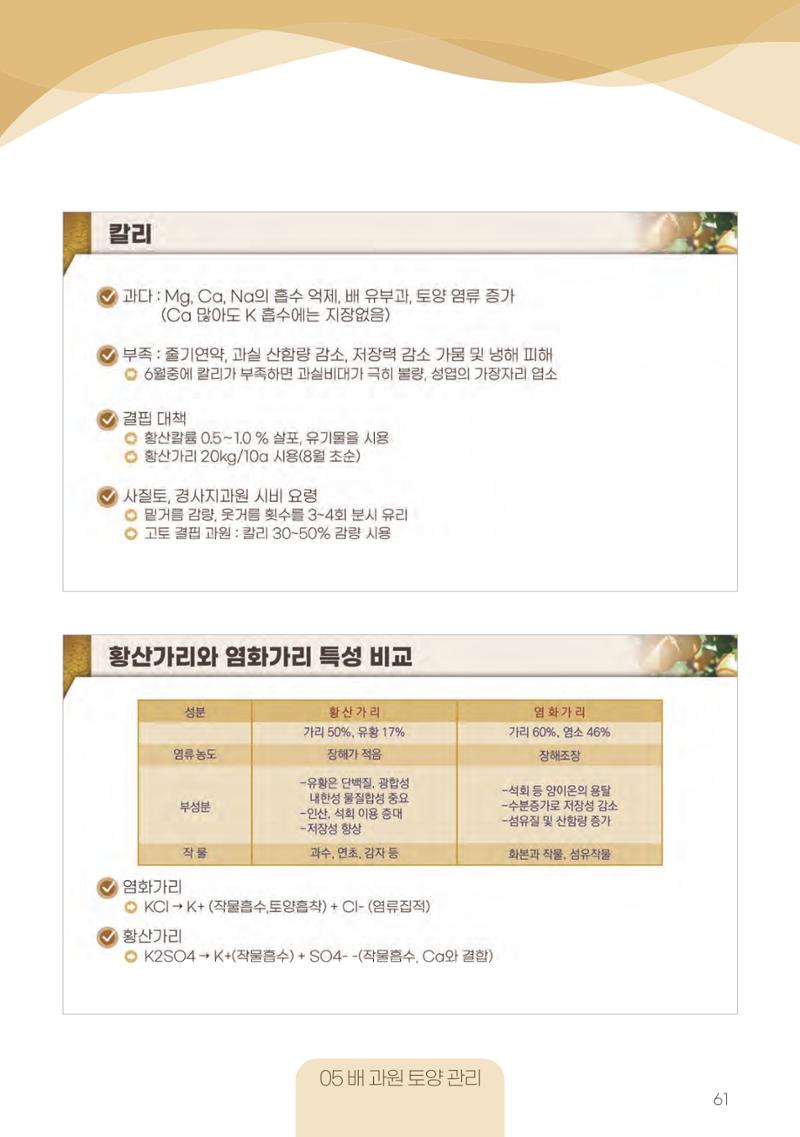 고품질 배 생산 및 수출 교육[2022] 61페이지