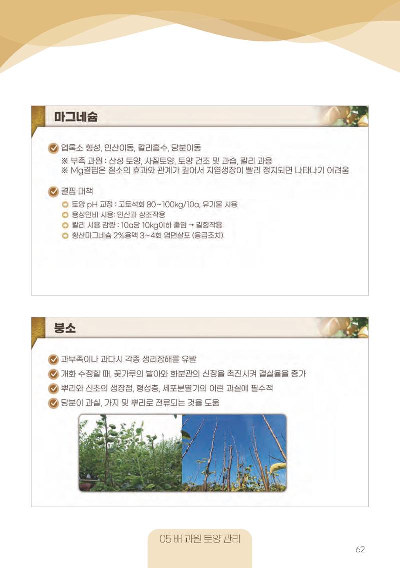 고품질 배 생산 및 수출 교육[2022] 62페이지