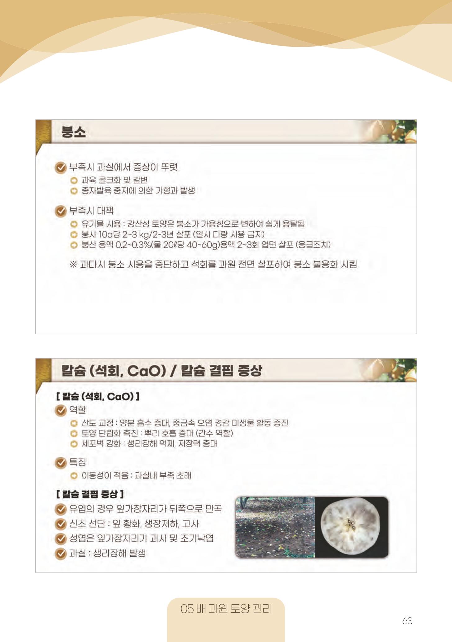 고품질 배 생산 및 수출 교육[2022] 63페이지