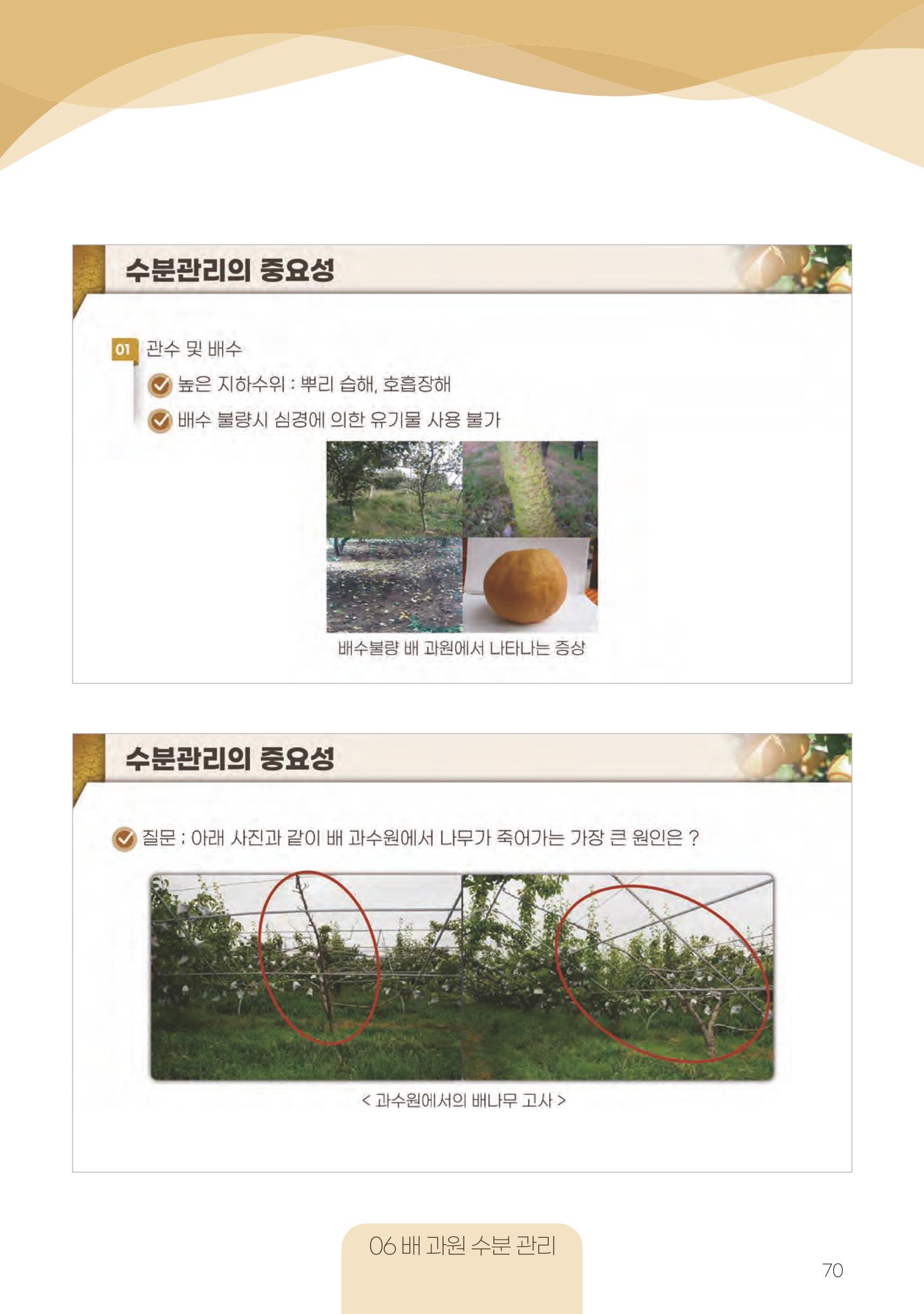 고품질 배 생산 및 수출 교육[2022] 70페이지