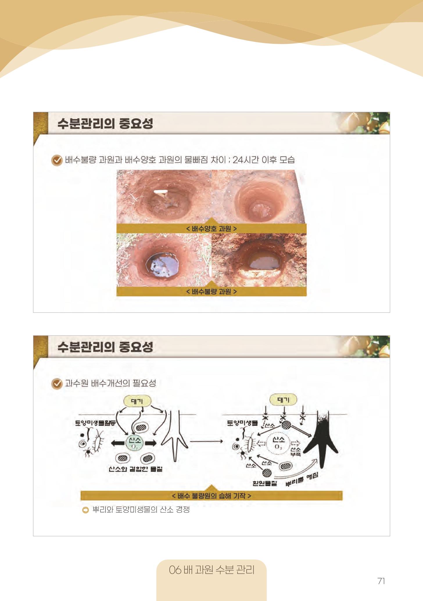 고품질 배 생산 및 수출 교육[2022] 71페이지