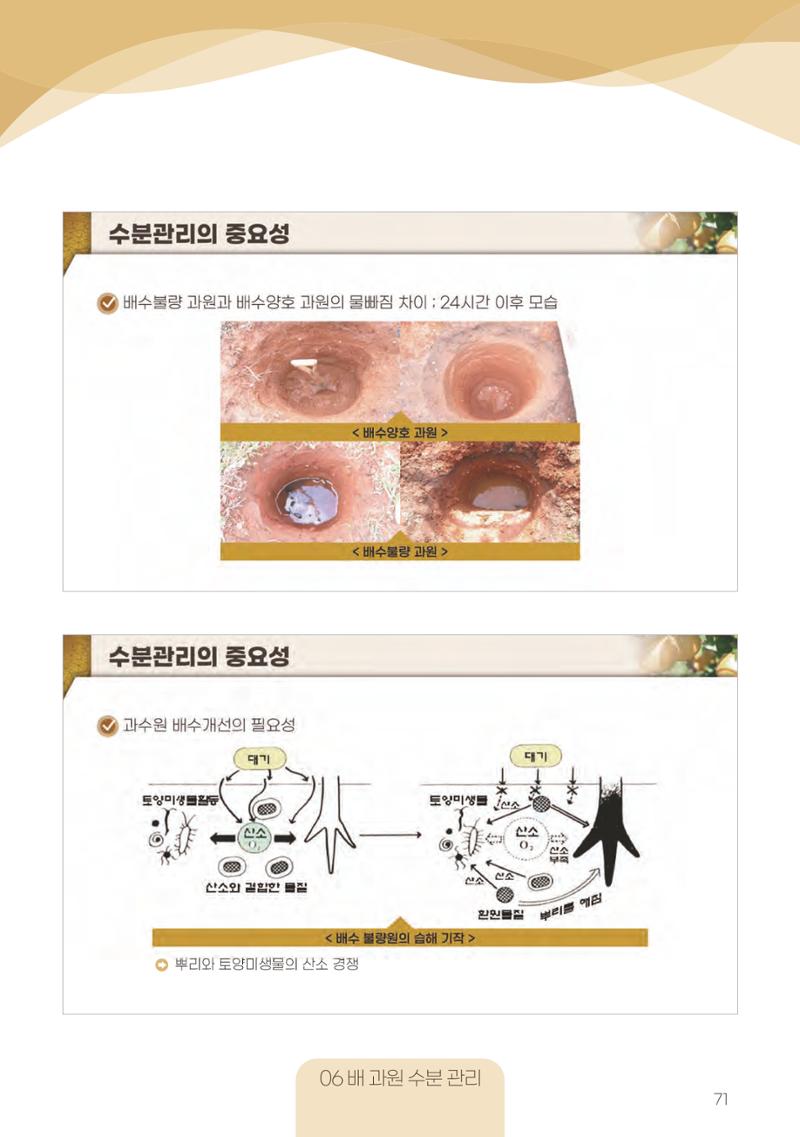 고품질 배 생산 및 수출 교육[2022] 71페이지