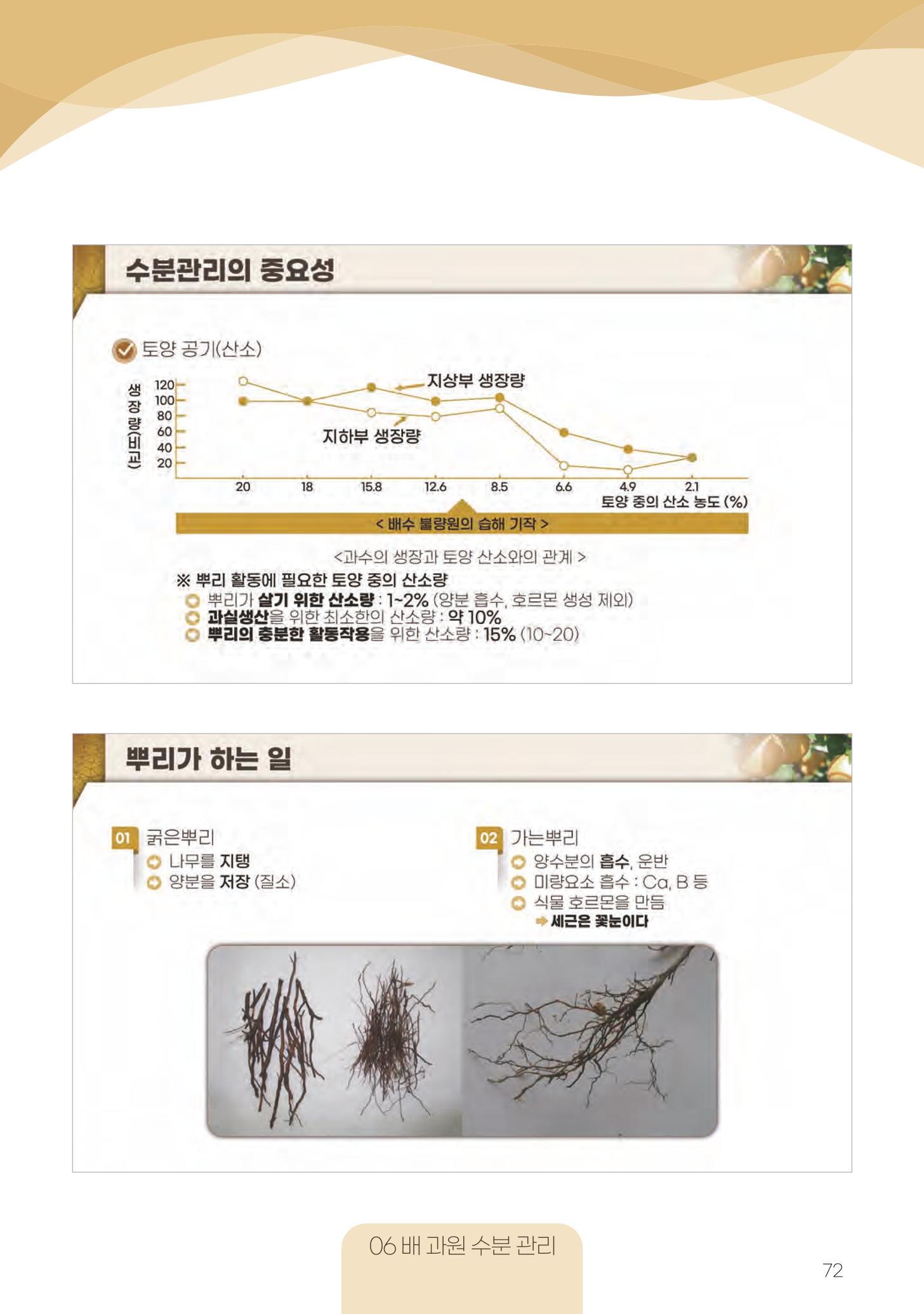 고품질 배 생산 및 수출 교육[2022] 72페이지
