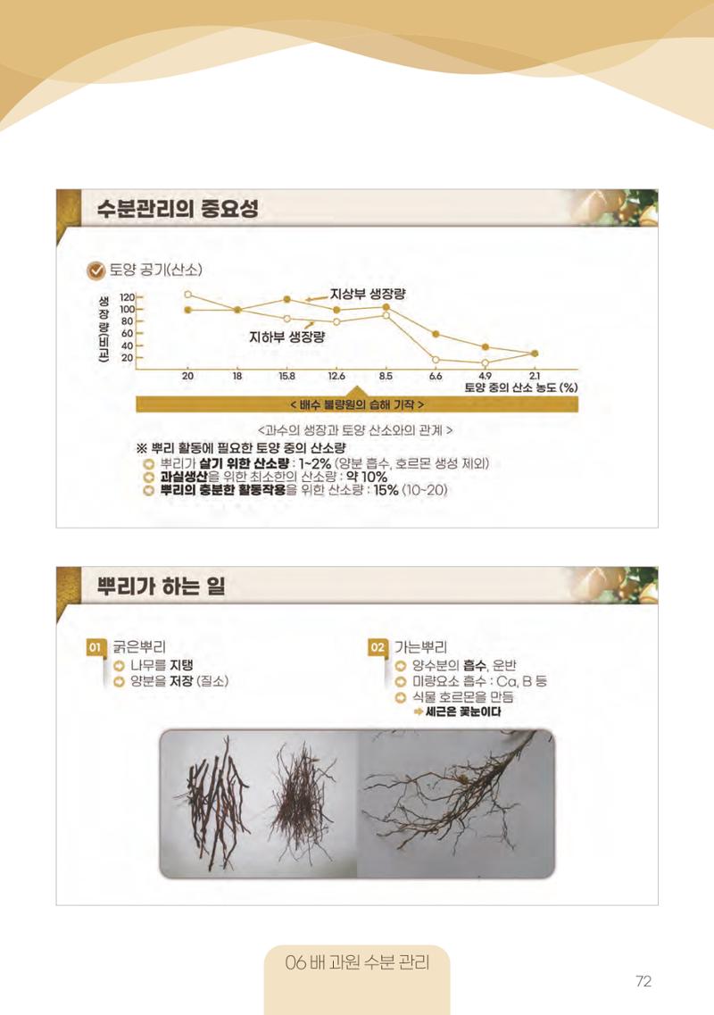 고품질 배 생산 및 수출 교육[2022] 72페이지