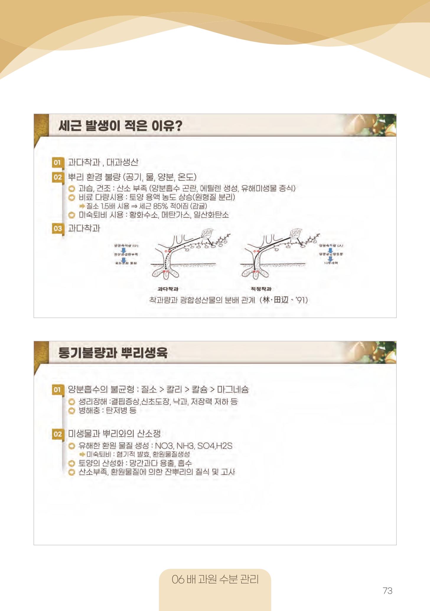 고품질 배 생산 및 수출 교육[2022] 73페이지