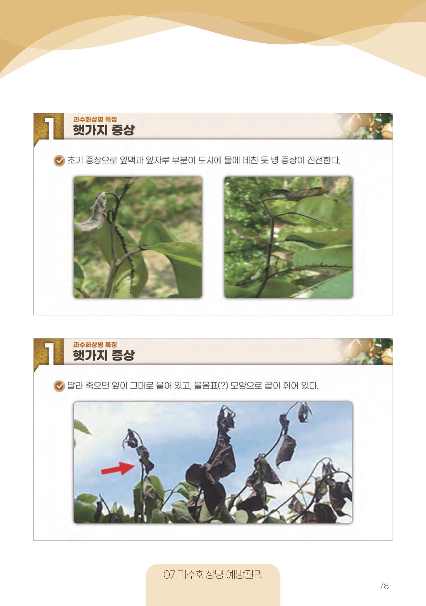 고품질 배 생산 및 수출 교육[2022] 78페이지