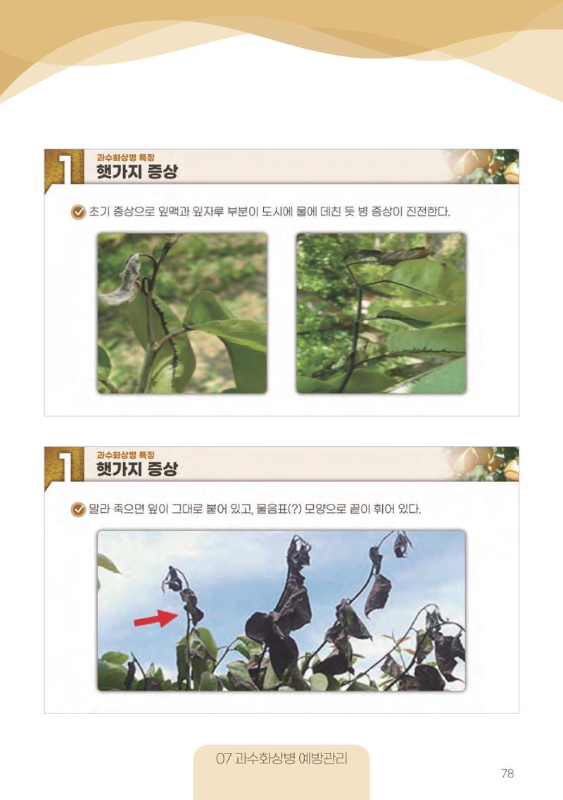고품질 배 생산 및 수출 교육[2022] 78페이지