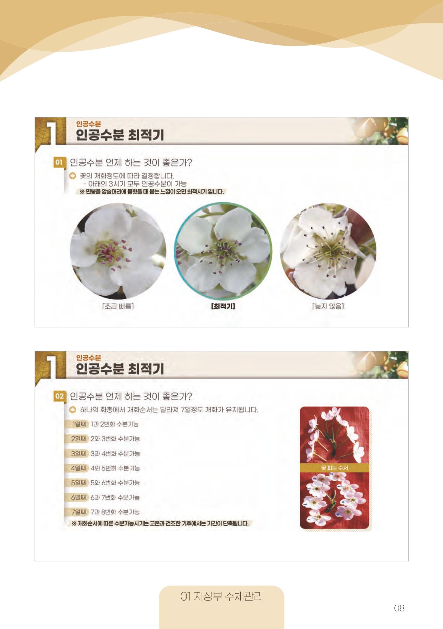 고품질 배 생산 및 수출 교육[2022] 8페이지