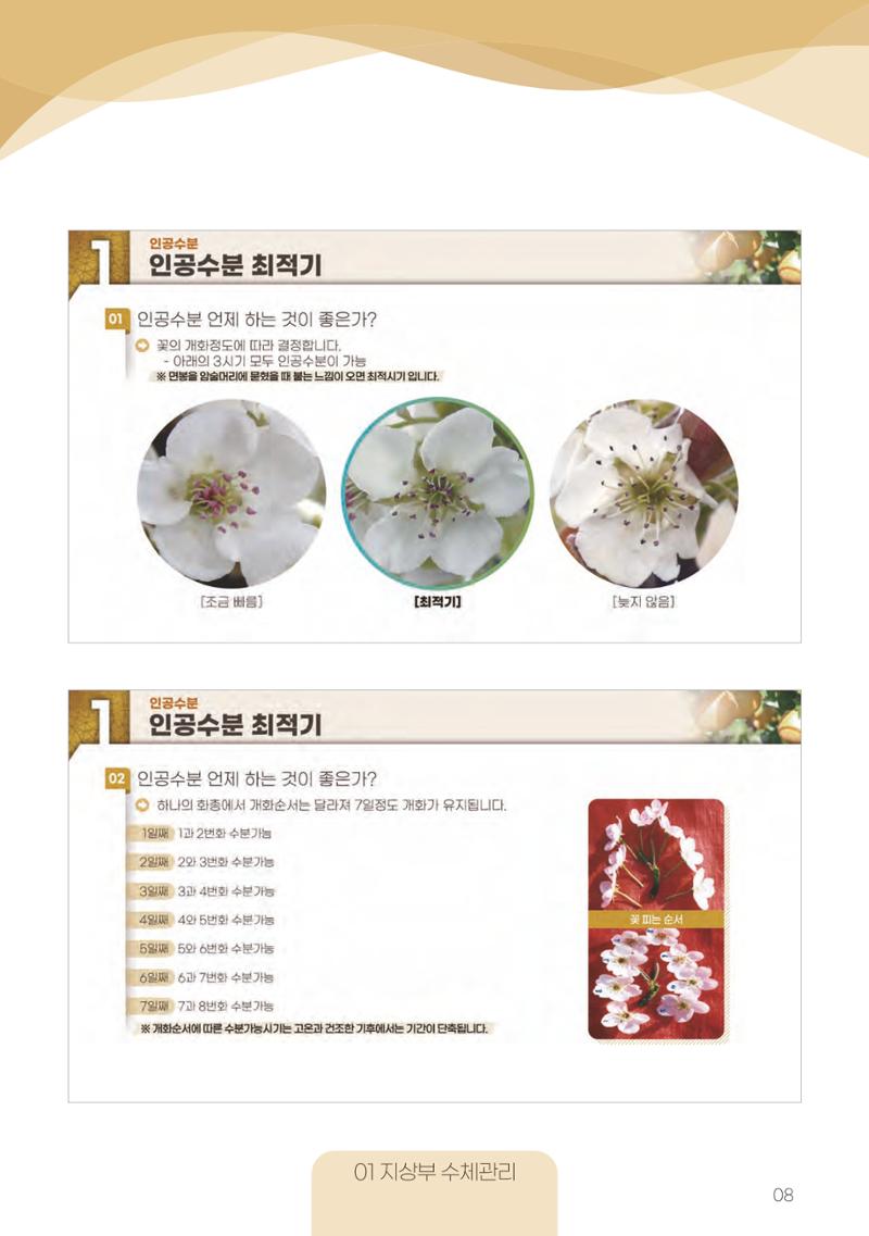 고품질 배 생산 및 수출 교육[2022] 8페이지