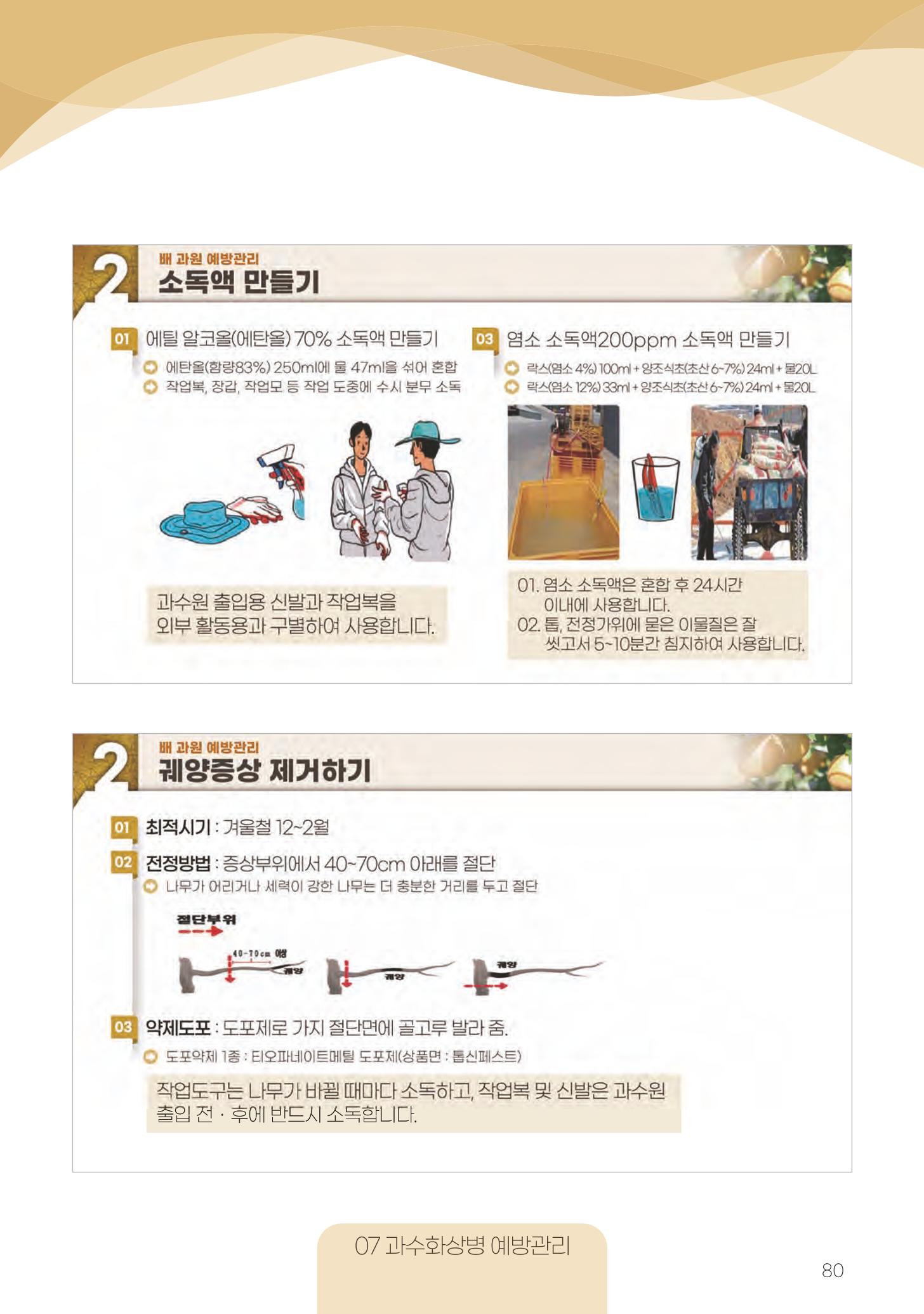 고품질 배 생산 및 수출 교육[2022] 80페이지