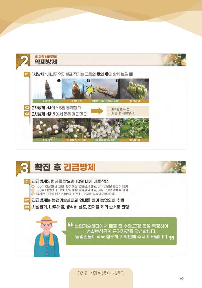 고품질 배 생산 및 수출 교육[2022] 82페이지