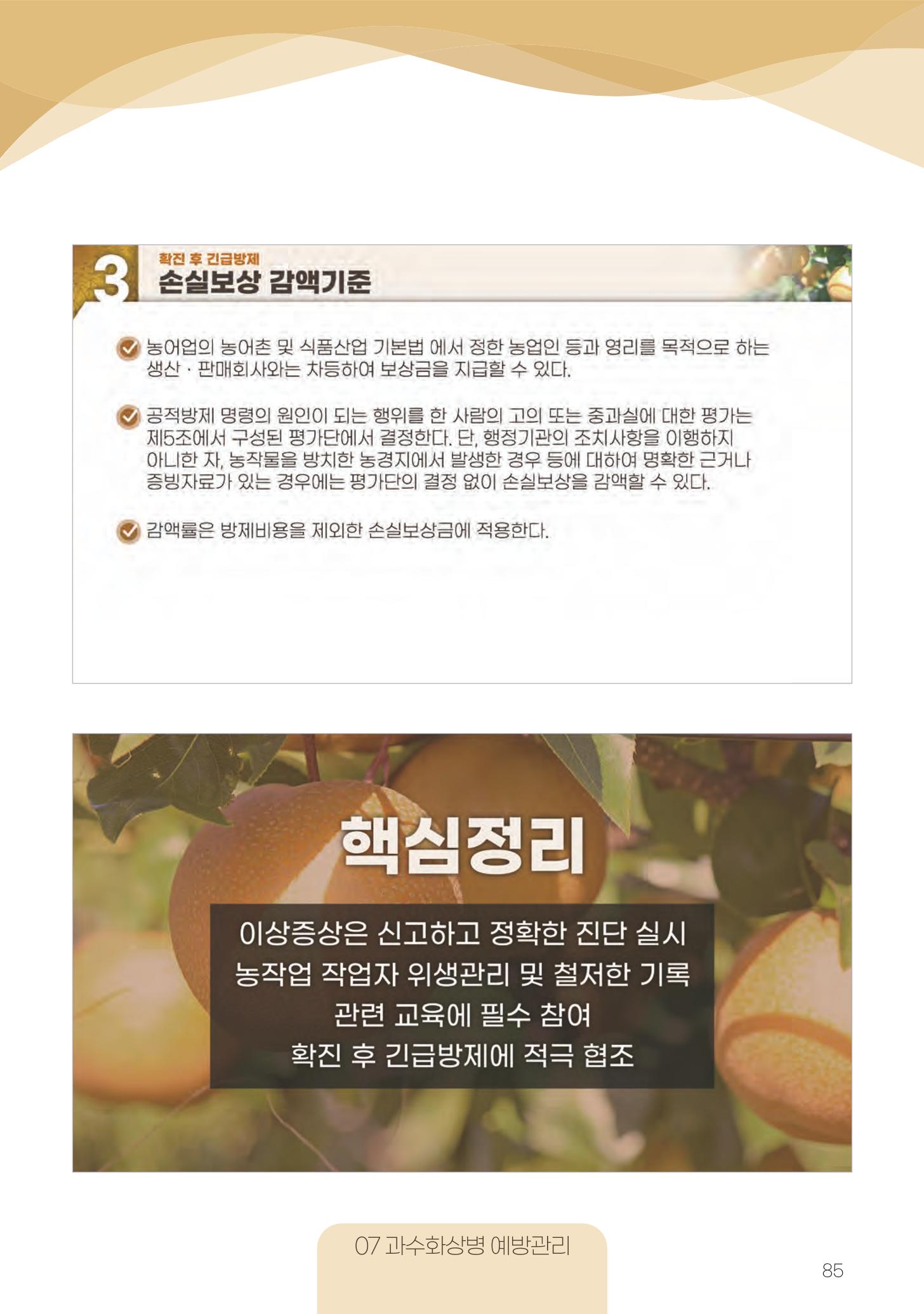 고품질 배 생산 및 수출 교육[2022] 85페이지
