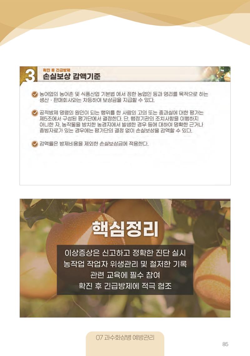 고품질 배 생산 및 수출 교육[2022] 85페이지