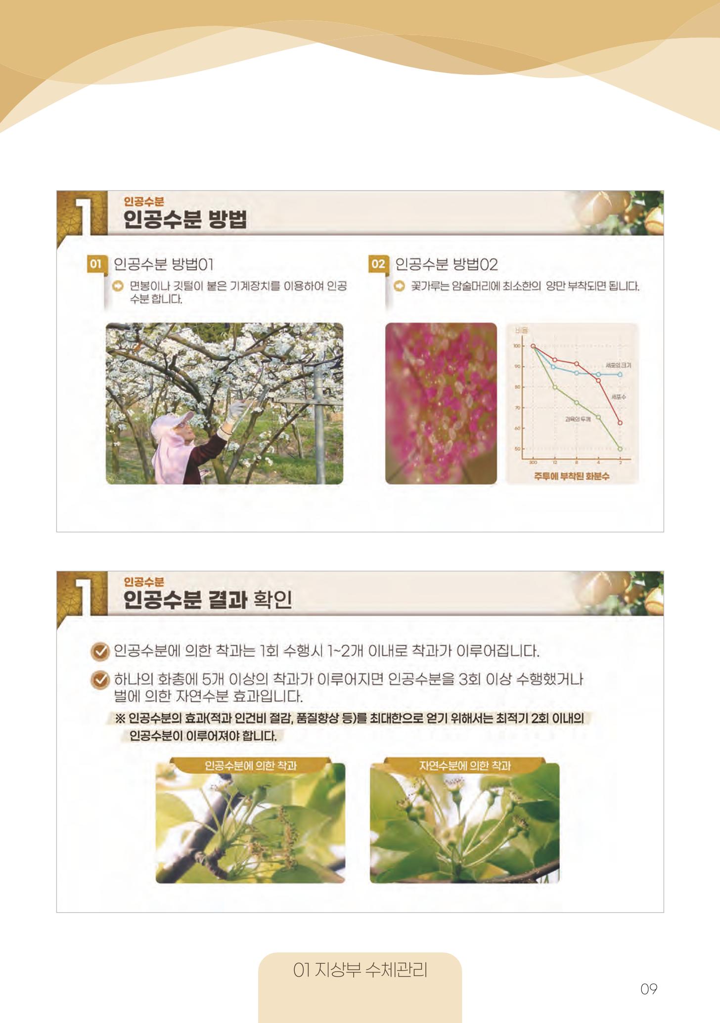 고품질 배 생산 및 수출 교육[2022] 9페이지