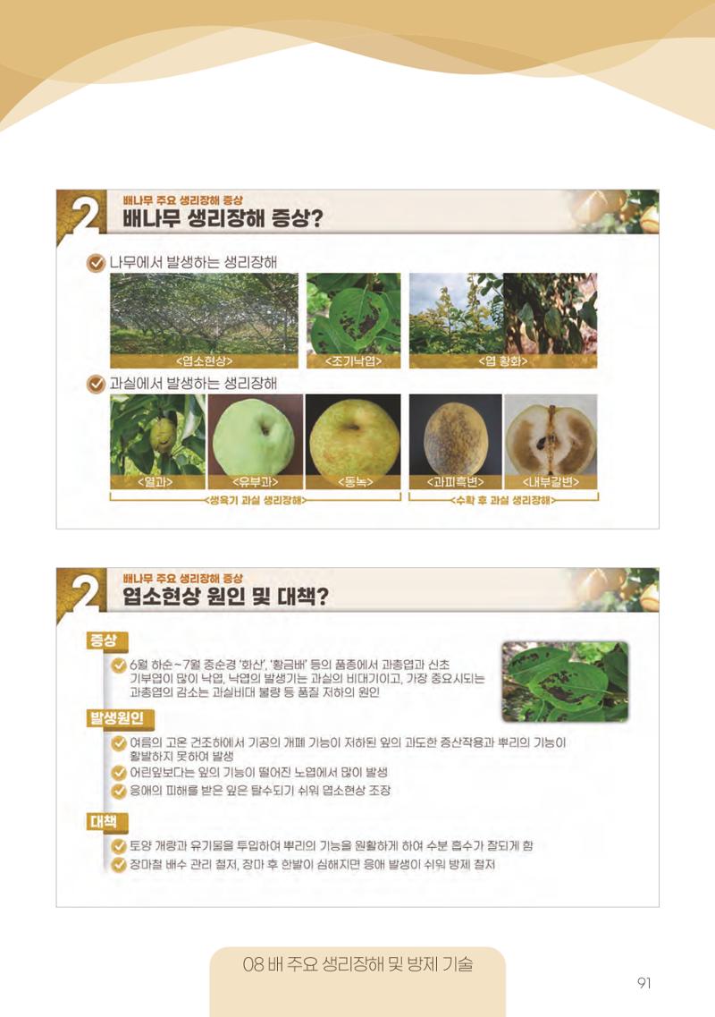 고품질 배 생산 및 수출 교육[2022] 91페이지