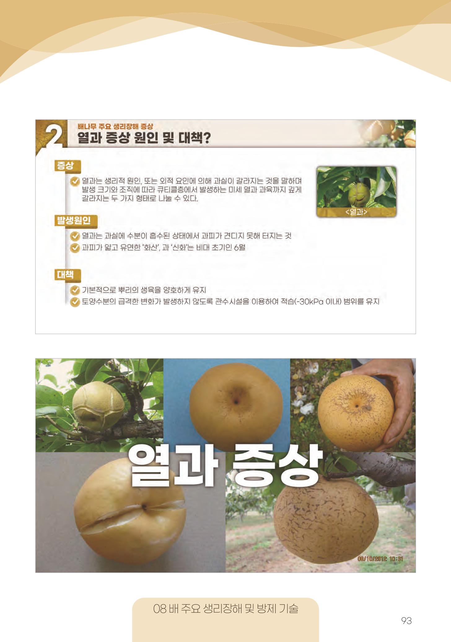 고품질 배 생산 및 수출 교육[2022] 93페이지