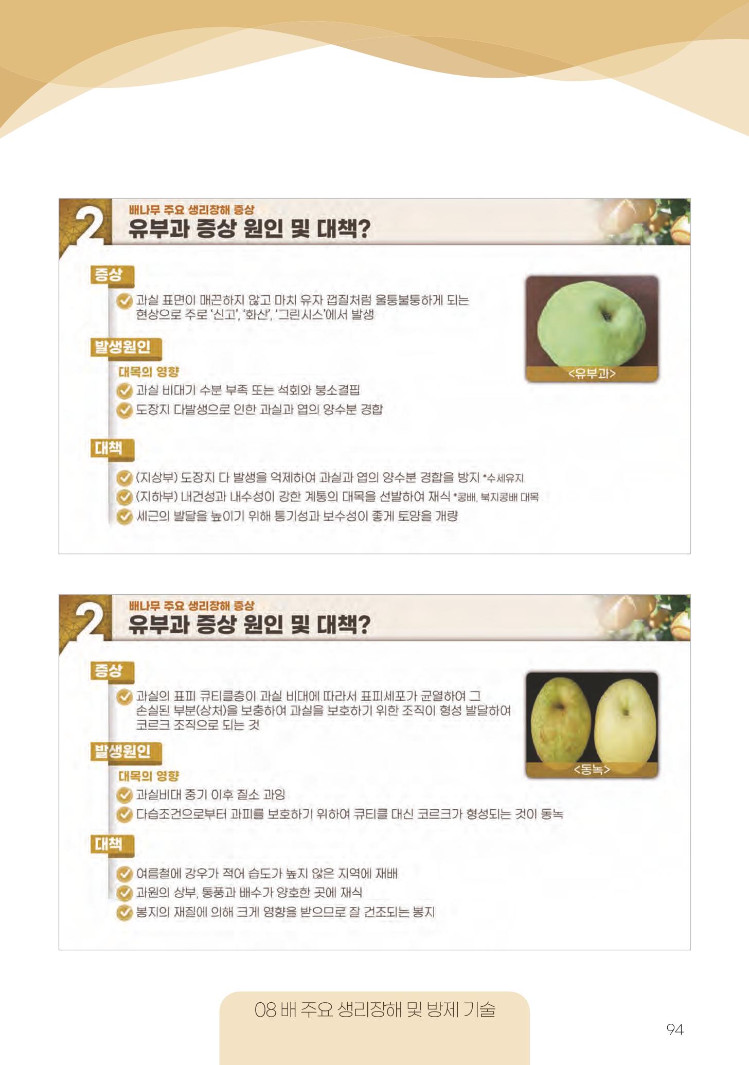 고품질 배 생산 및 수출 교육[2022] 94페이지