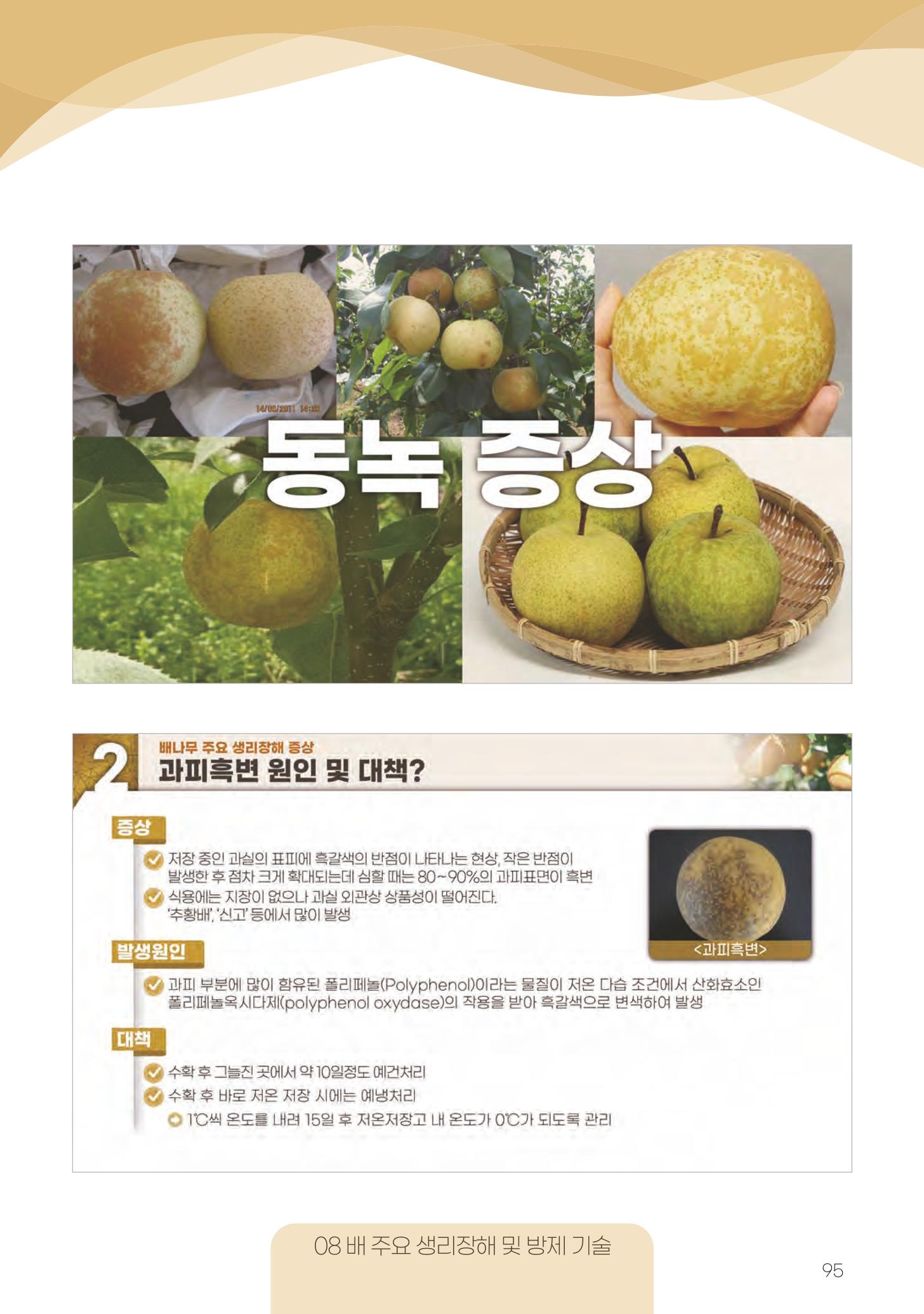 고품질 배 생산 및 수출 교육[2022] 95페이지