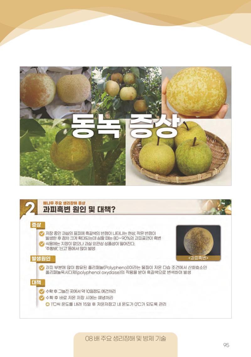 고품질 배 생산 및 수출 교육[2022] 95페이지