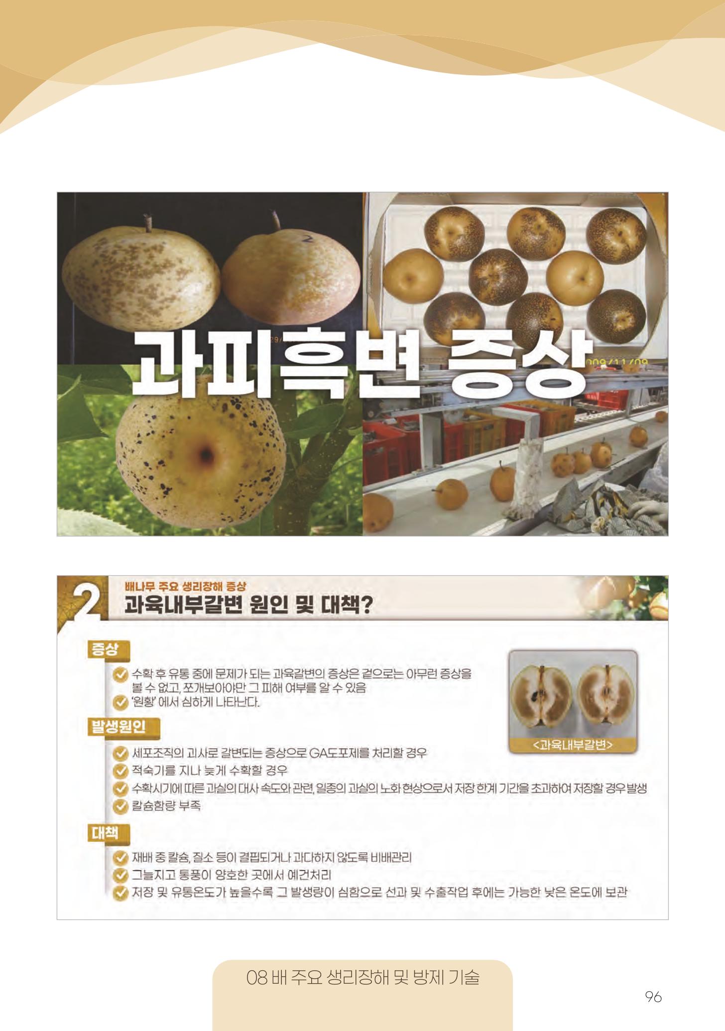 고품질 배 생산 및 수출 교육[2022] 96페이지