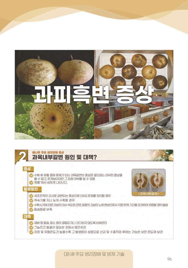 고품질 배 생산 및 수출 교육[2022] 96페이지