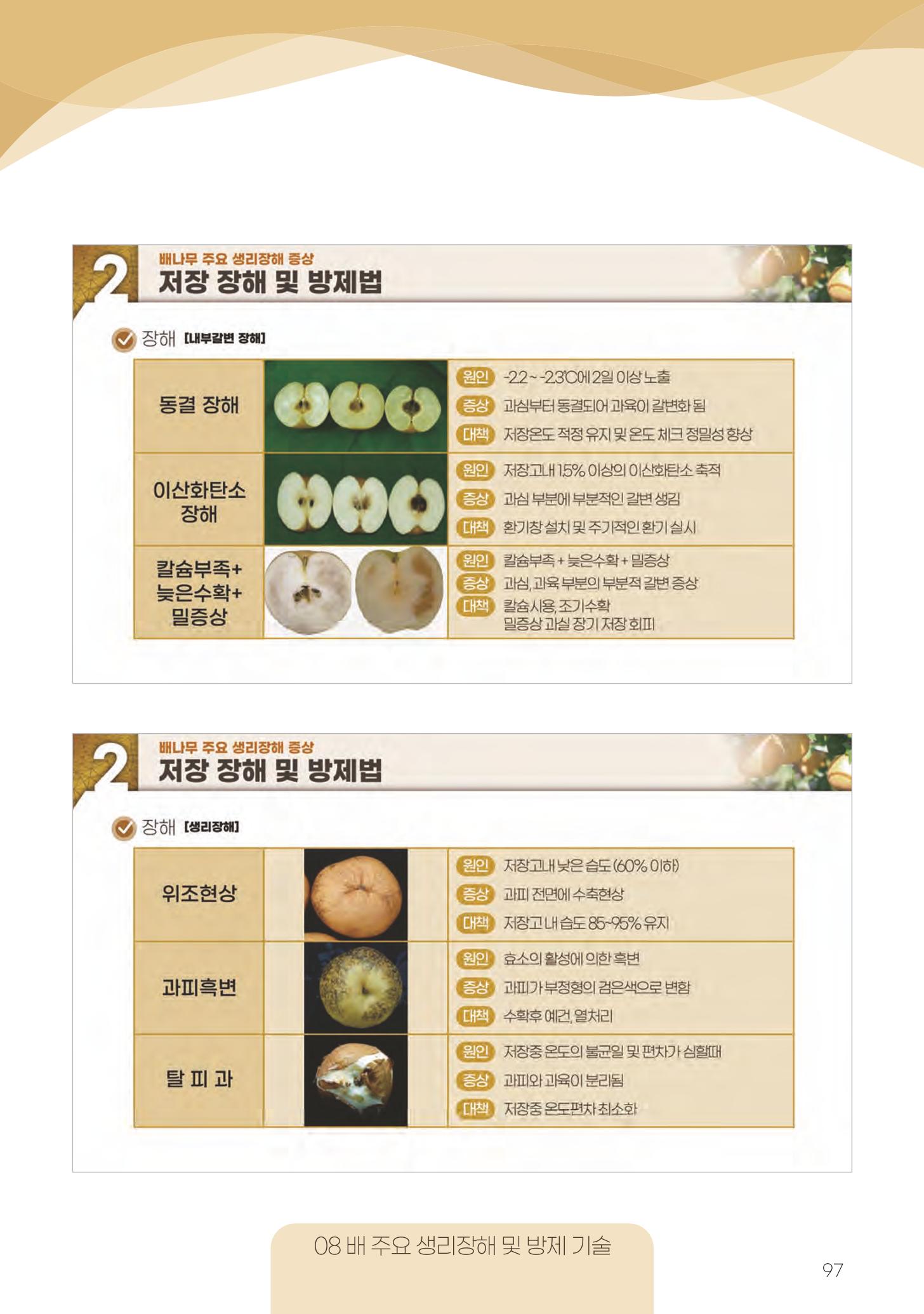 고품질 배 생산 및 수출 교육[2022] 97페이지