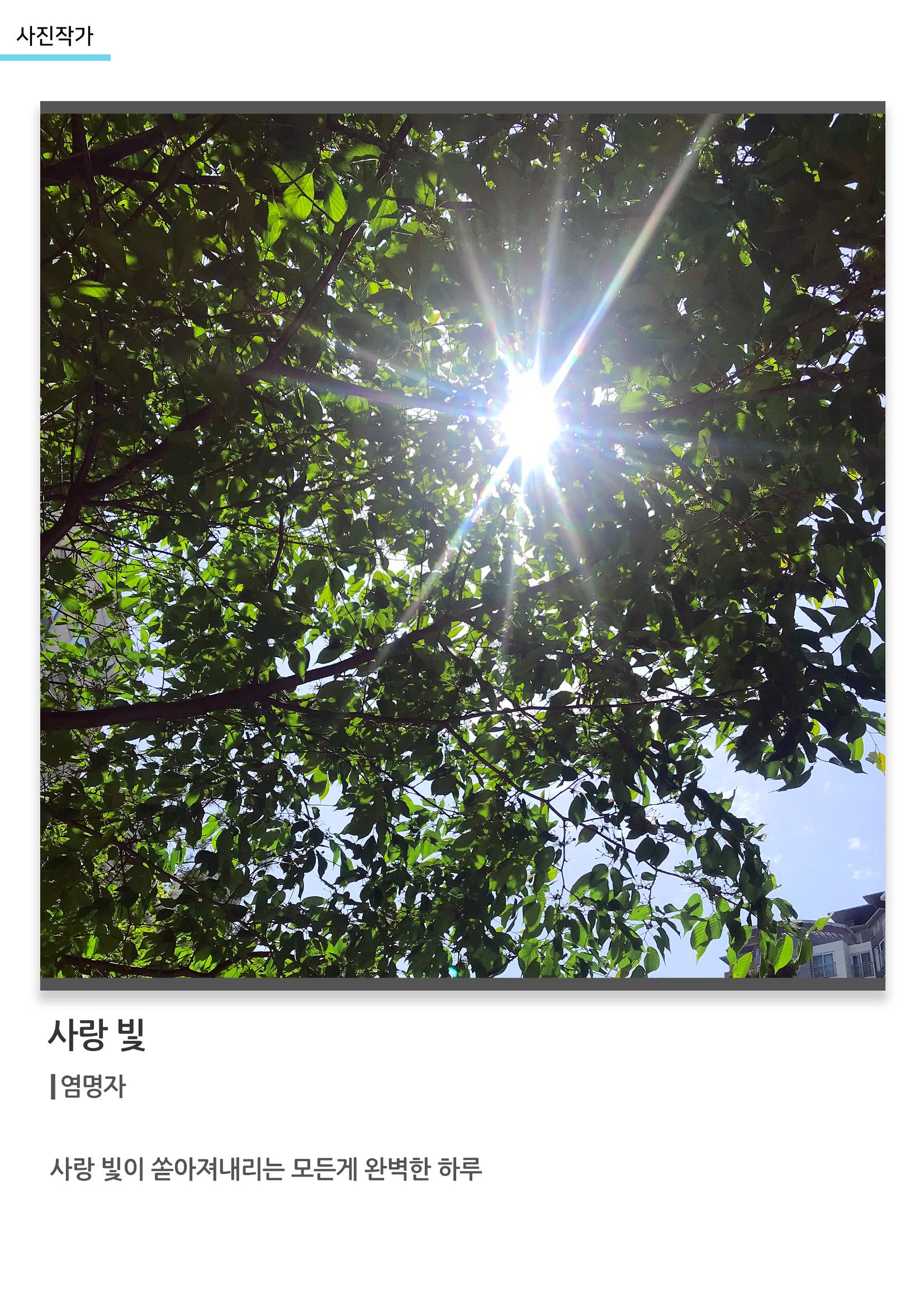아르떼아카데미_사랑 빛 1페이지