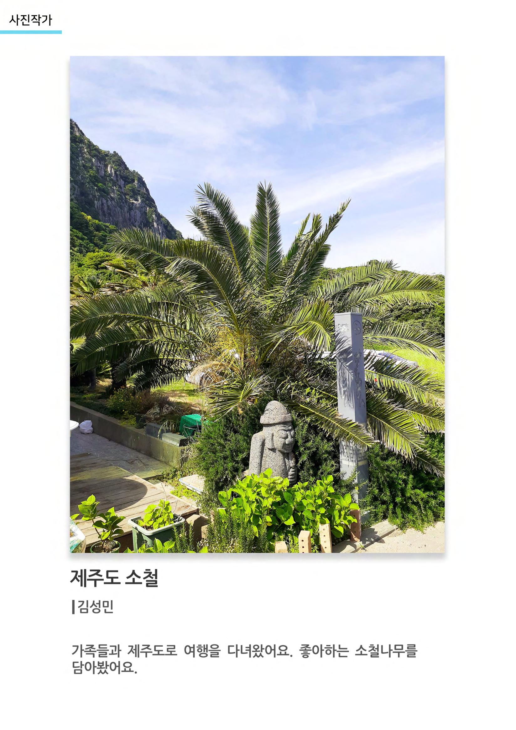갤러리 비상 62페이지