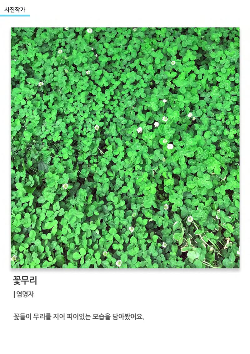 갤러리 비상 65페이지