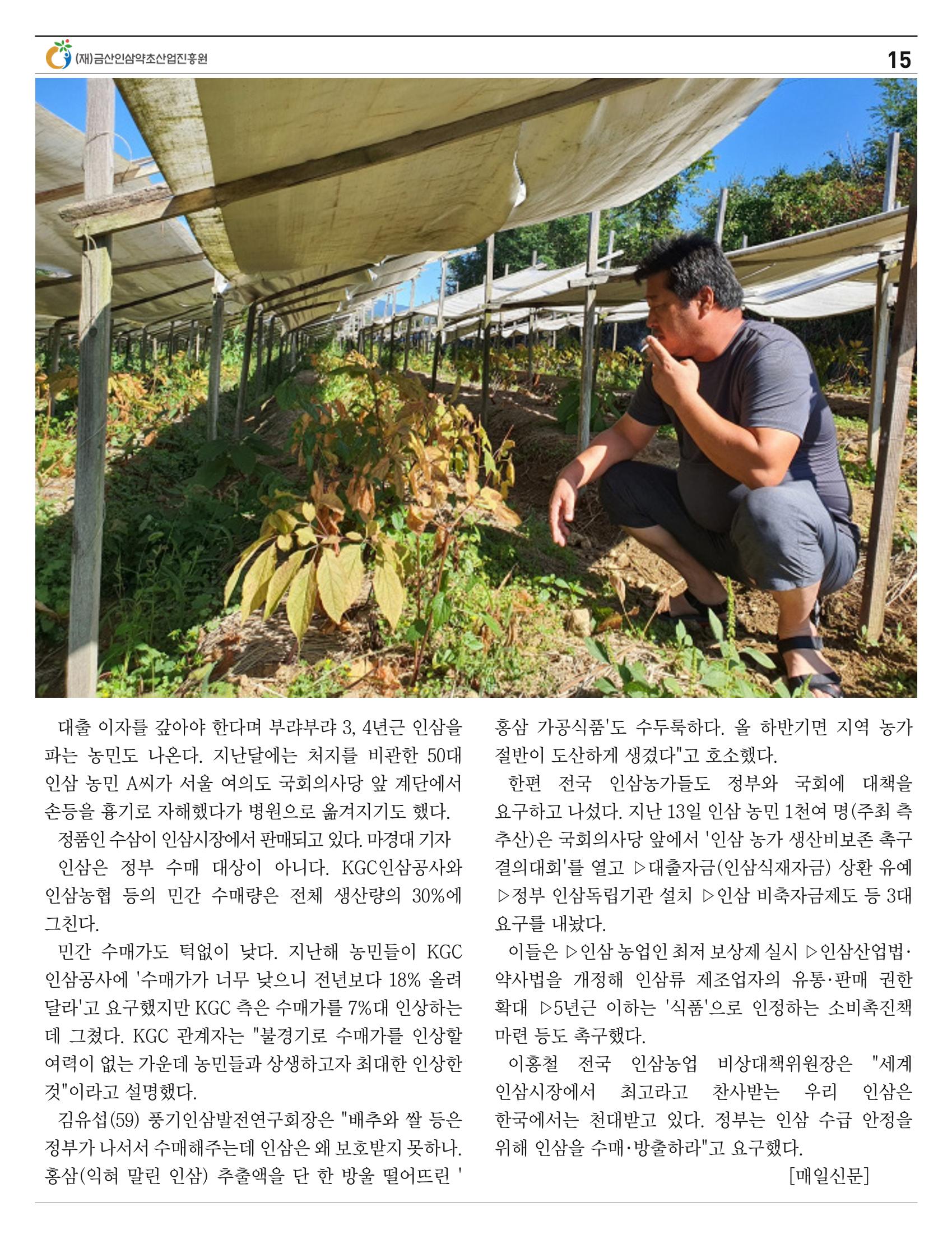 "금산이 뿌리입니다" 2월호 15페이지