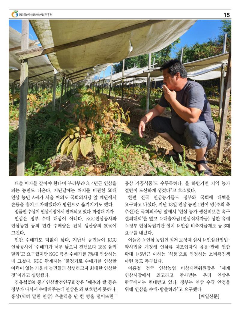 "금산이 뿌리입니다" 2월호 15페이지