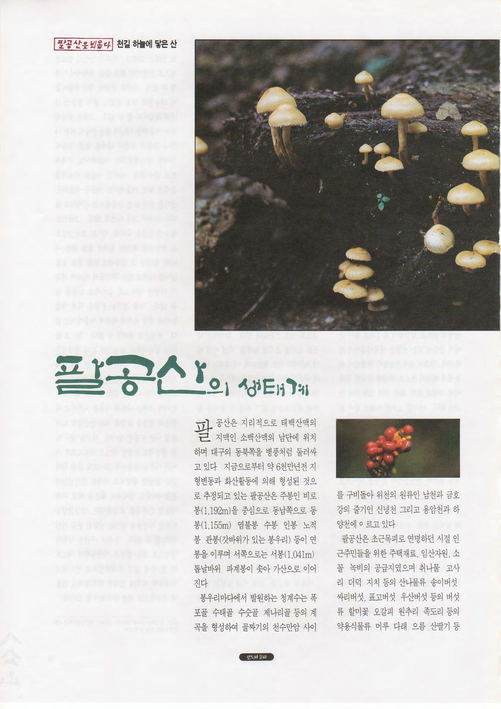 향토와 문화 vol.1 팔공산을 뵈옵다(1996년1,2월호) 16페이지