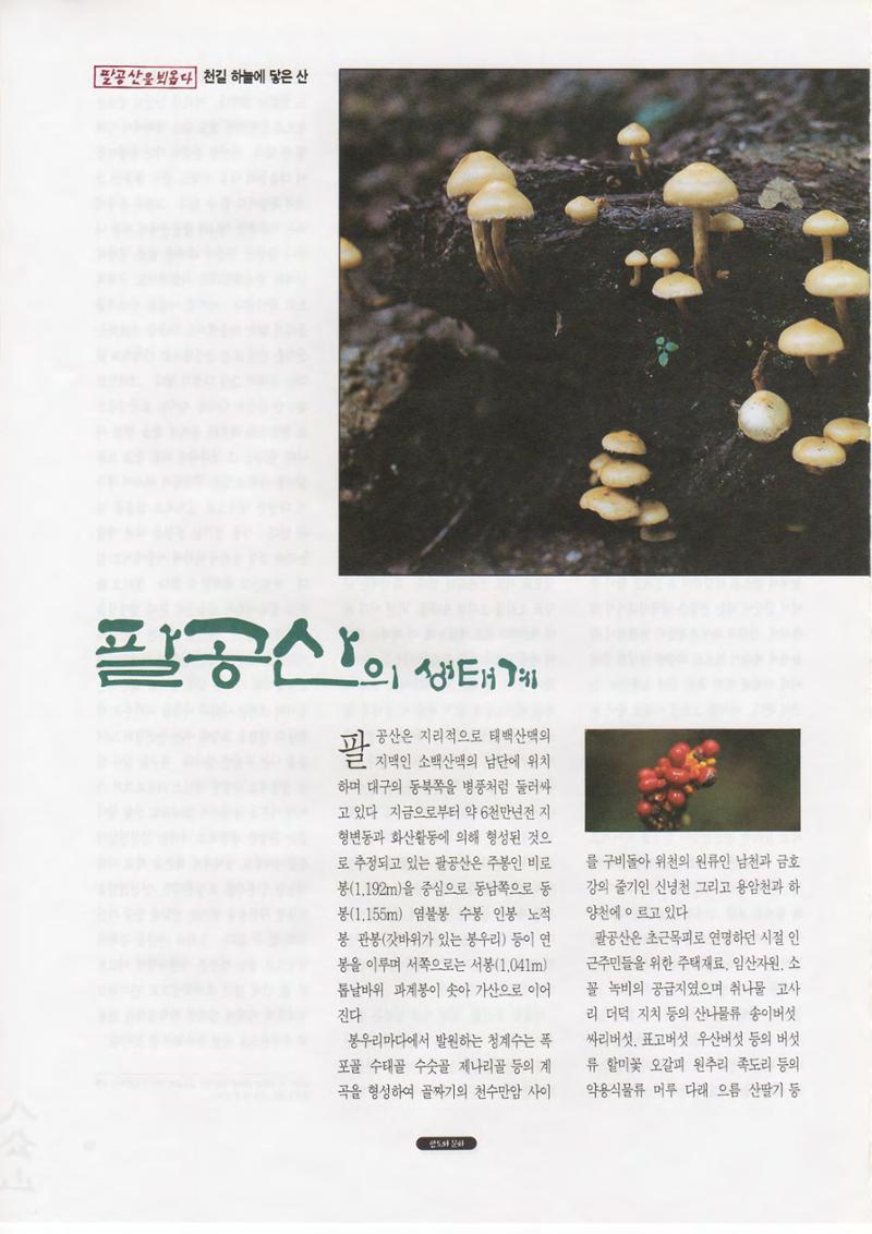 향토와 문화 vol.1 팔공산을 뵈옵다(1996년1,2월호) 16페이지