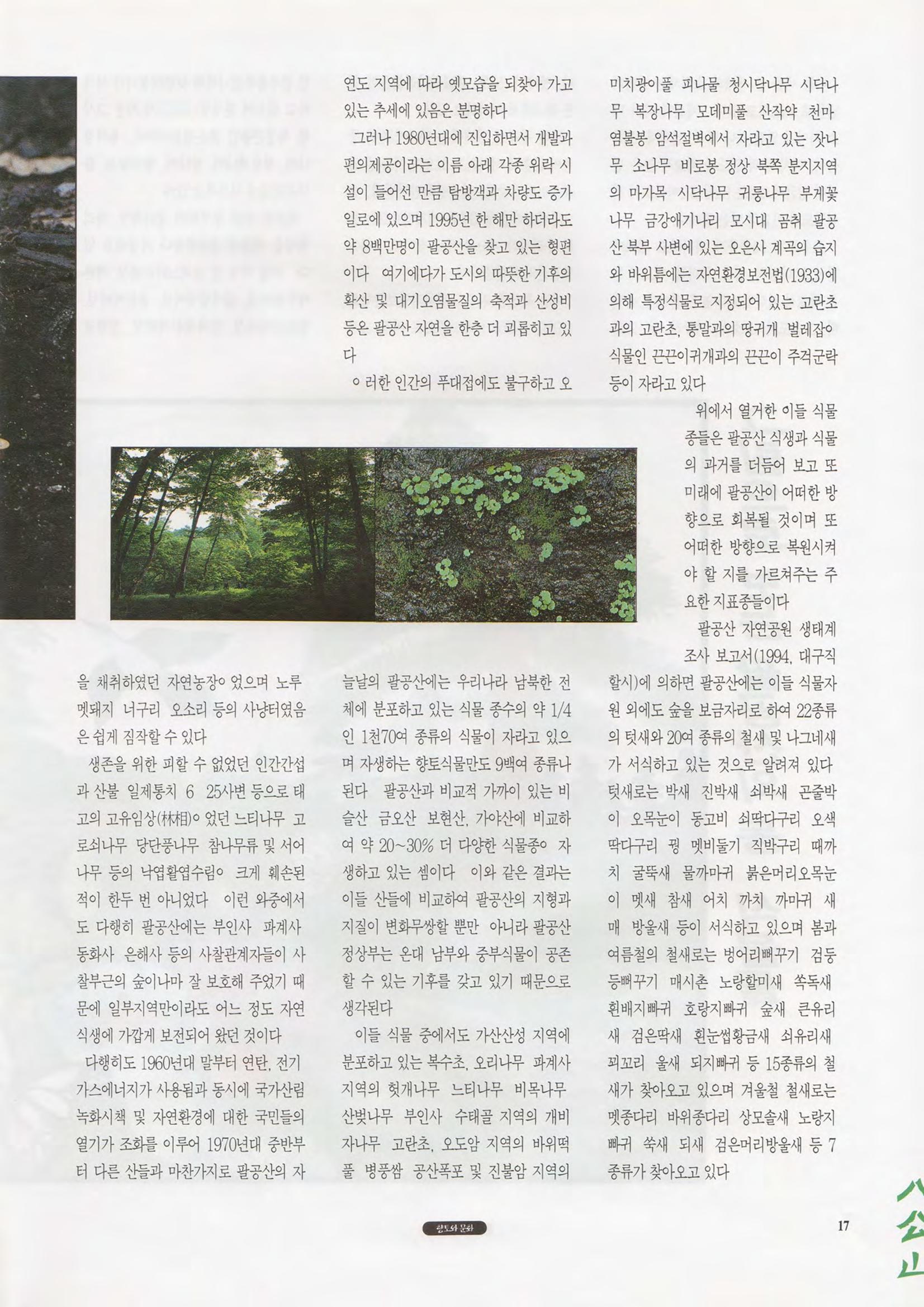 향토와 문화 vol.1 팔공산을 뵈옵다(1996년1,2월호) 17페이지