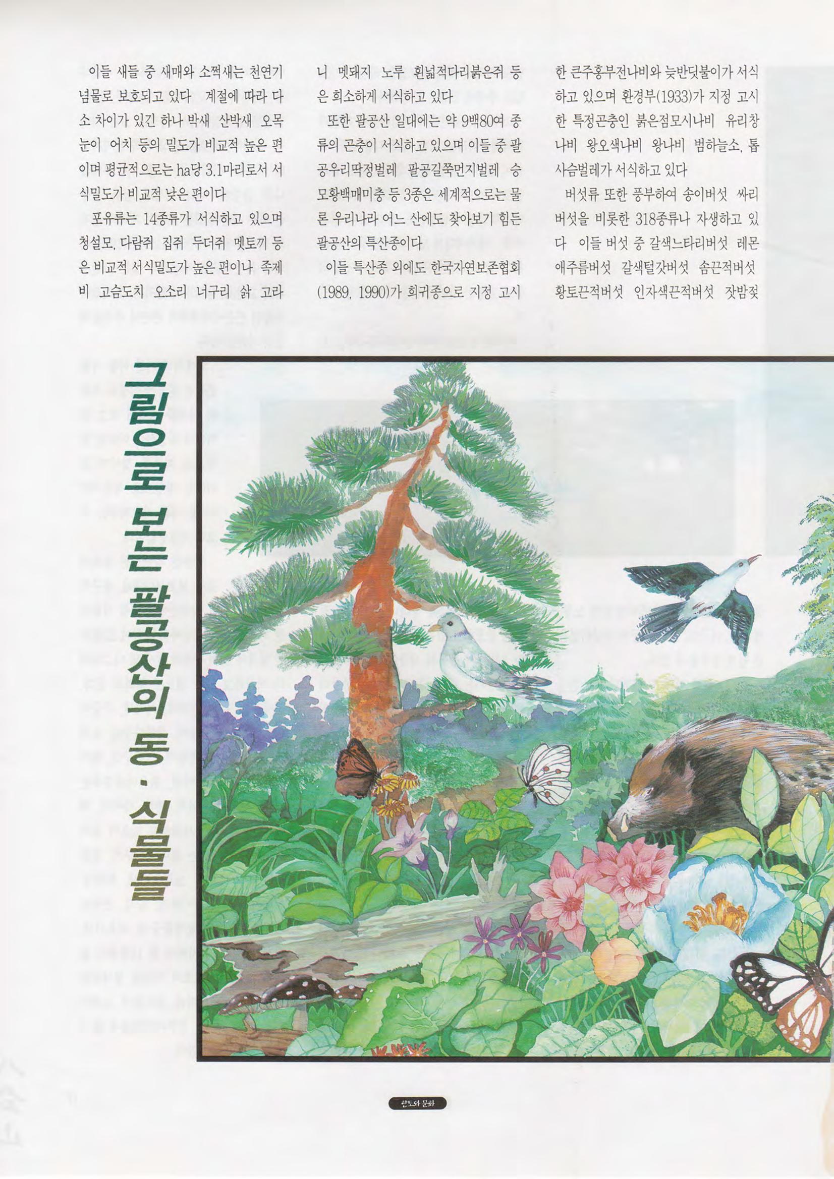 향토와 문화 vol.1 팔공산을 뵈옵다(1996년1,2월호) 18페이지
