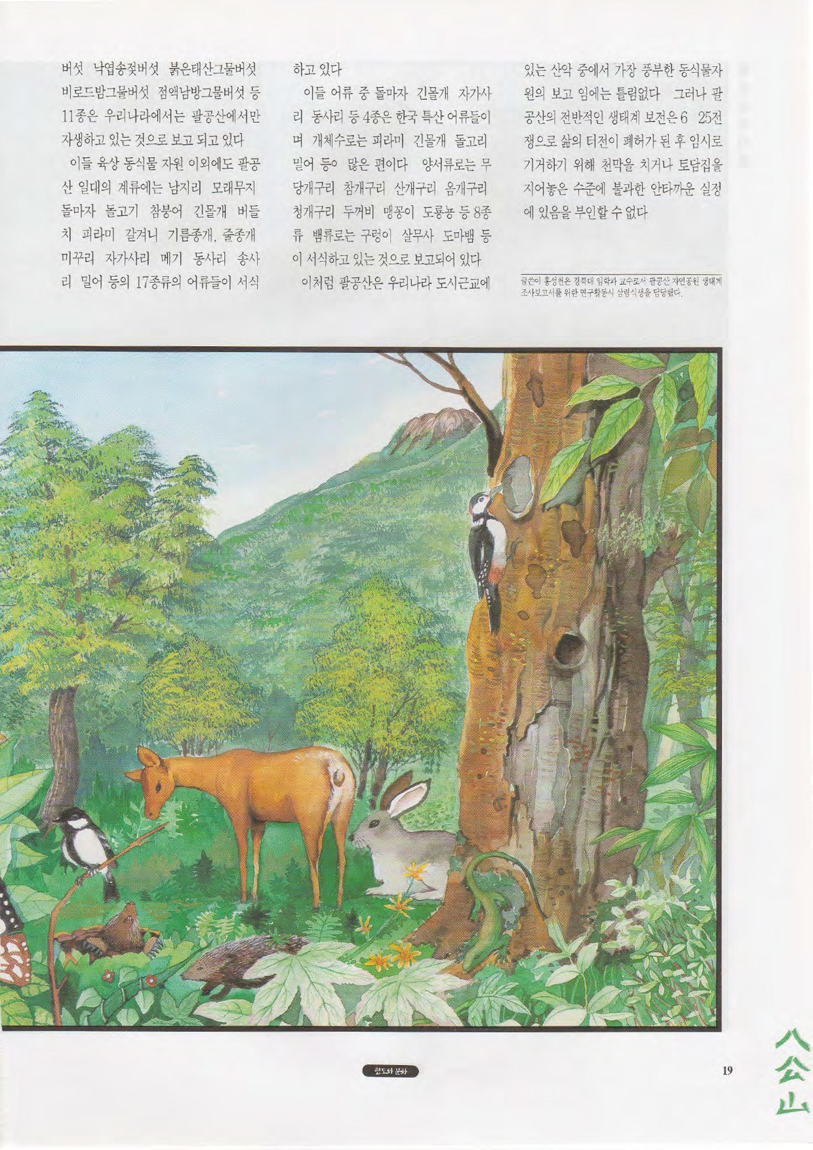 향토와 문화 vol.1 팔공산을 뵈옵다(1996년1,2월호) 19페이지