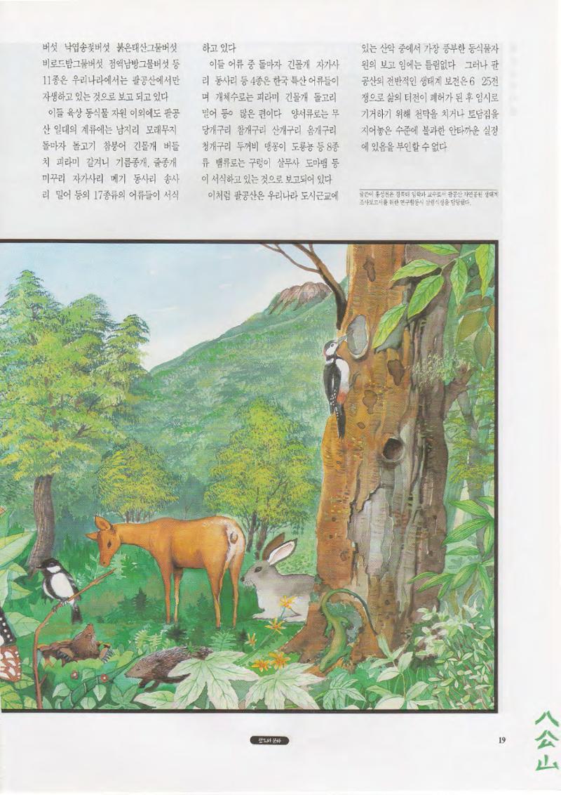 향토와 문화 vol.1 팔공산을 뵈옵다(1996년1,2월호) 19페이지